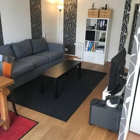 Apartamento Joli 2 Pieces De 42m² Jo 2024 *
